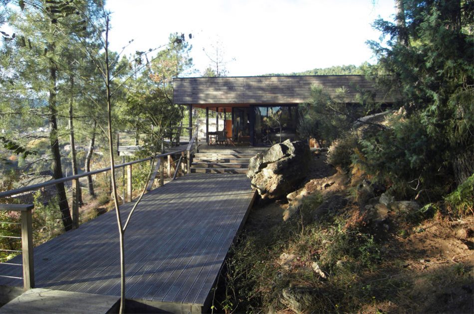 maison foret terrasse